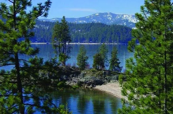 Tubbs Hill trail view Lake Coeur d'Alene